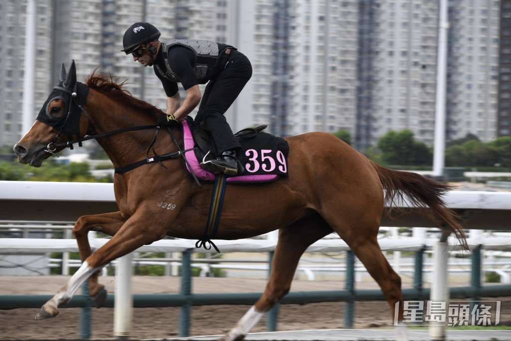 「天下寵兒」馬身喼得好靚，持續勇銳無走樣。