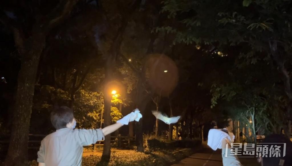 溫諾汶將康復的蝙蝠寶寶帶回發現原址，協助牠與媽媽團聚。 嘉道理農場暨植物園提供