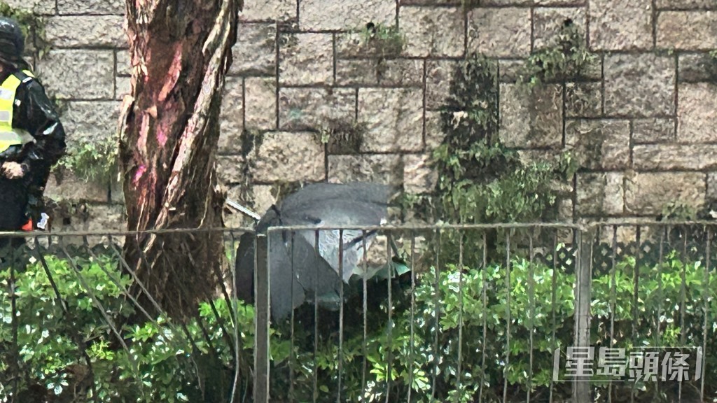 上身用雨傘遮蓋。 上身用雨傘遮蓋。