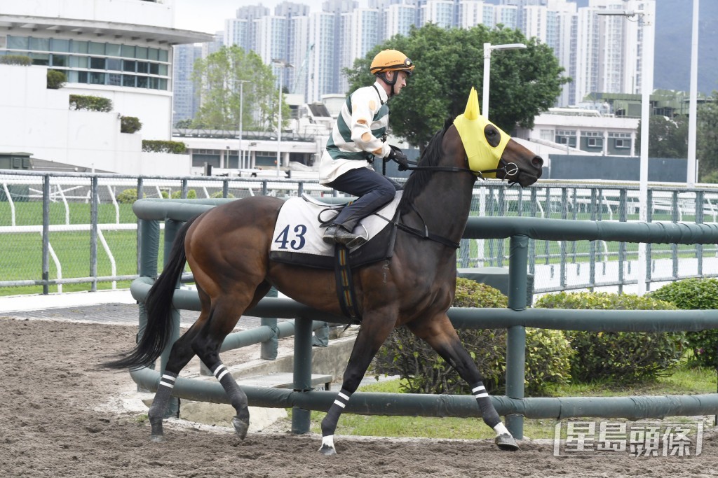 「拉合爾」按慢走過表現淡定，勝後再進一步。