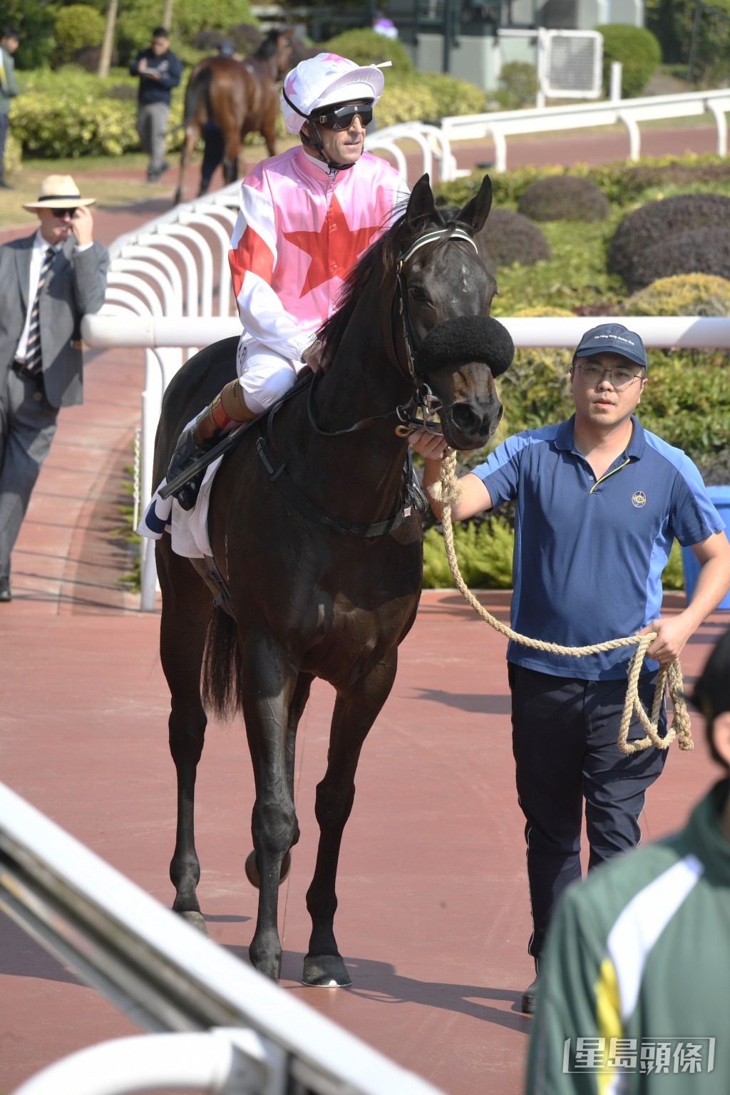 「都靈冠星」最近先後在谷草千二米和田草千四米後上跑第二。