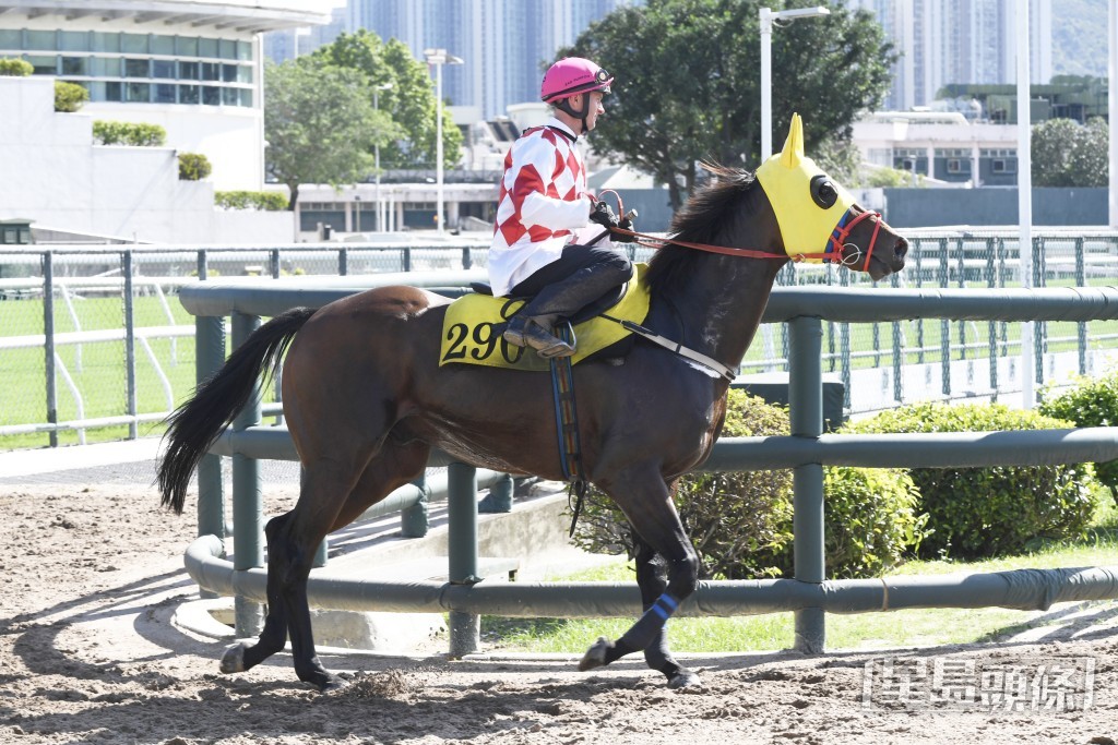 「魔法速遞」神采飛揚充滿朝氣，操足蓄勢待發。