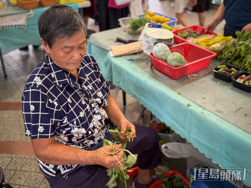 曾號農場場主興姐表示,連月黑雨令農作物損失慘重,難預料何時能重新播種。 曾號農場場主興姐表示,連月黑雨令農作物損失慘重,難預料何時能重新播種。