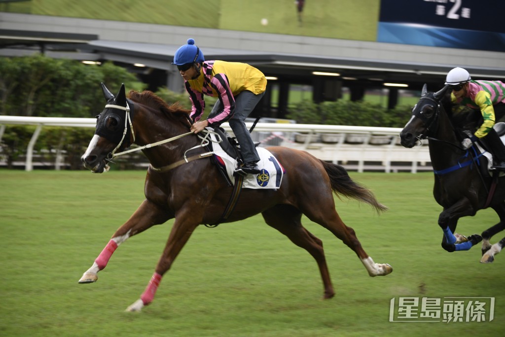 「威力星」明晚將出爭第三場五班一哩。