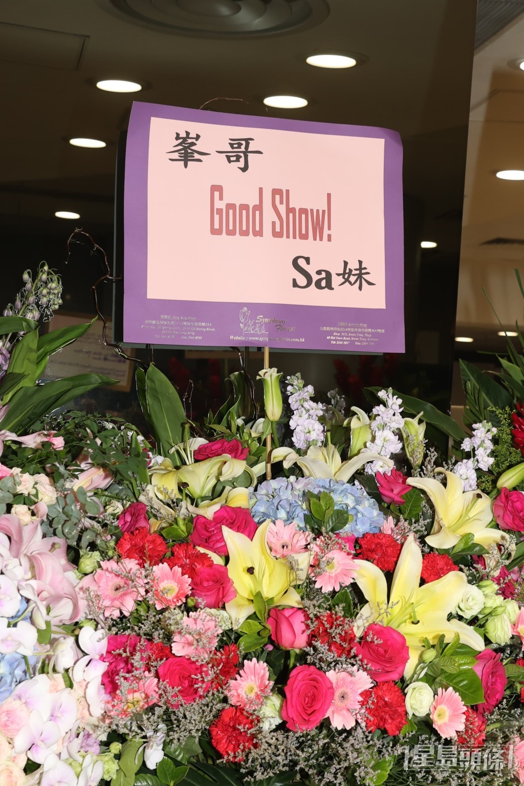 蔡卓妍 蔡卓妍