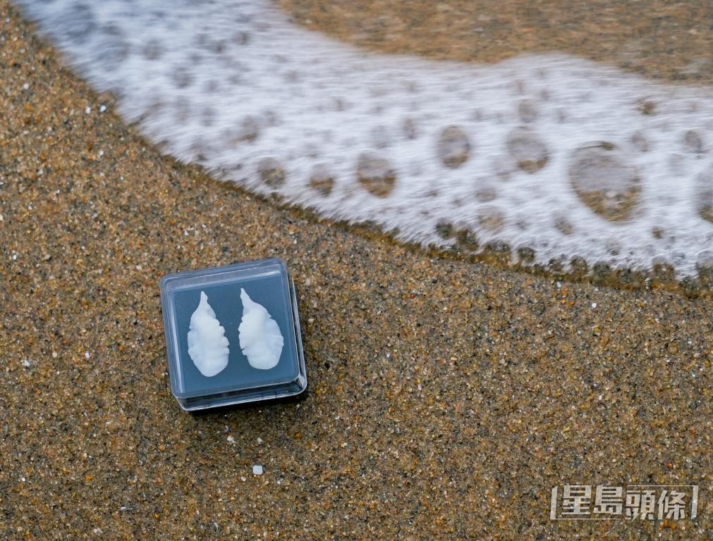 野生黃花魚的耳石，在平衡感和聽覺方面發揮重要作用。