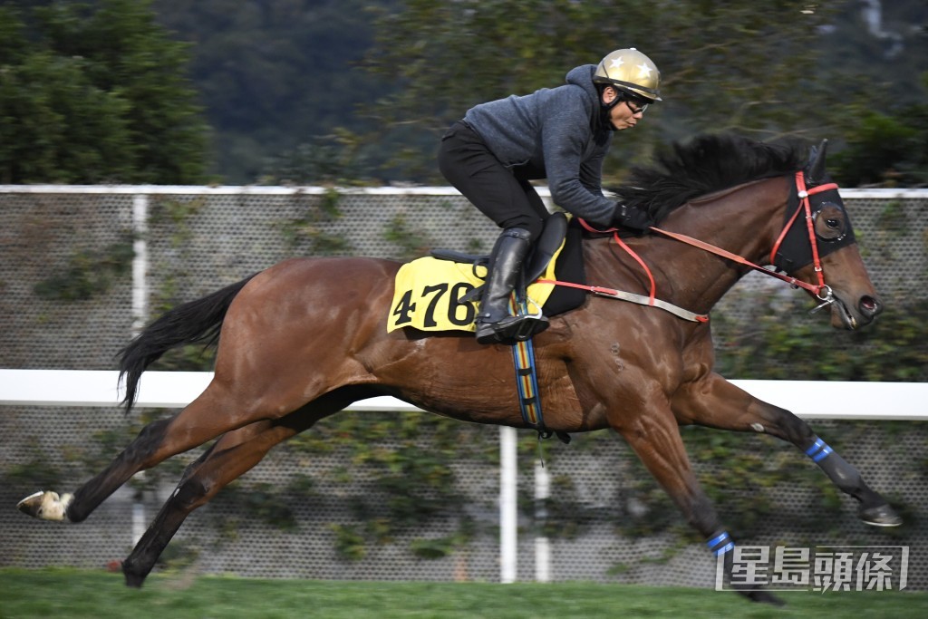 「錶之多多」充滿活力好生猛，有進無退精力旺盛。