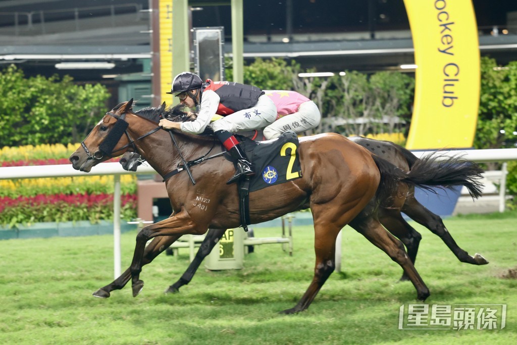 「競駿非凡」今仗排三檔,對其留放取位更有利,有望在此爭勝。 「競駿非凡」今仗排三檔,對其留放取位更有利,有望在此爭勝。