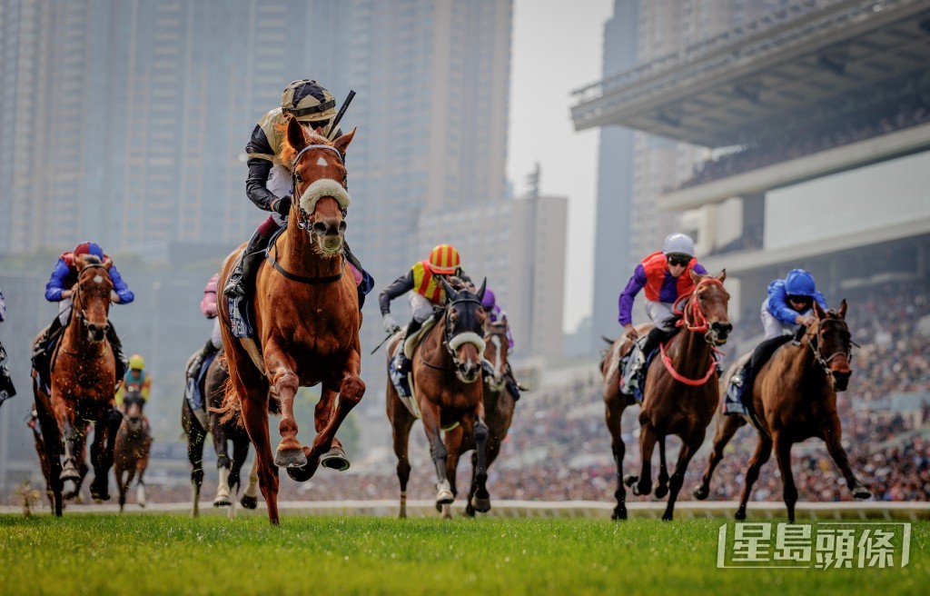 「安騁」(白帽)上仗在浪琴香港瓶(2400米一級賽)取得不俗的第四名,週五將作休後復出。 「安騁」(白帽)上仗在浪琴香港瓶(2400米一級賽)取得不俗的第四名,週五將作休後復出。