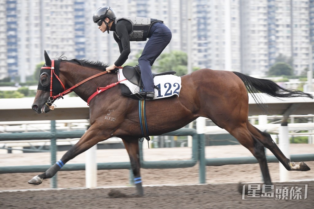 「會當凌」馬身札實毛色油潤，新勝保持極具好感。