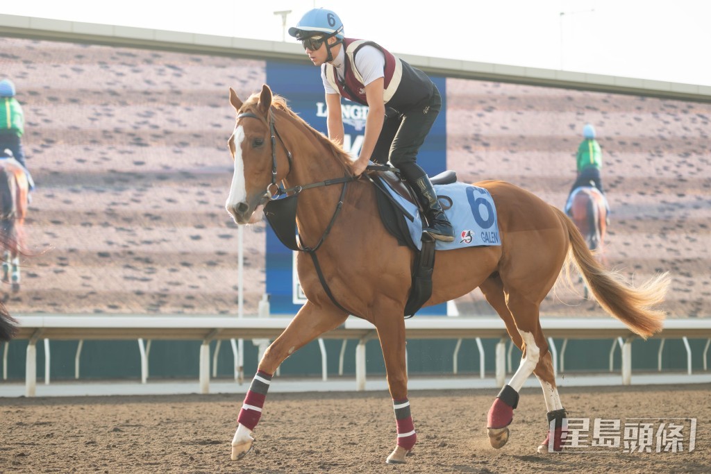 「名醫」本周在沙田出操。 「名醫」本周在沙田出操。