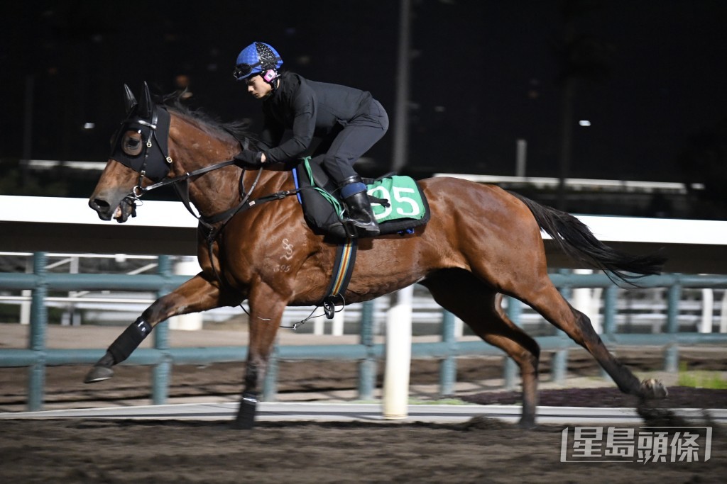 「駟跑得」馬身收得壯碩，充滿朝氣之馬，狀態依然勇銳。