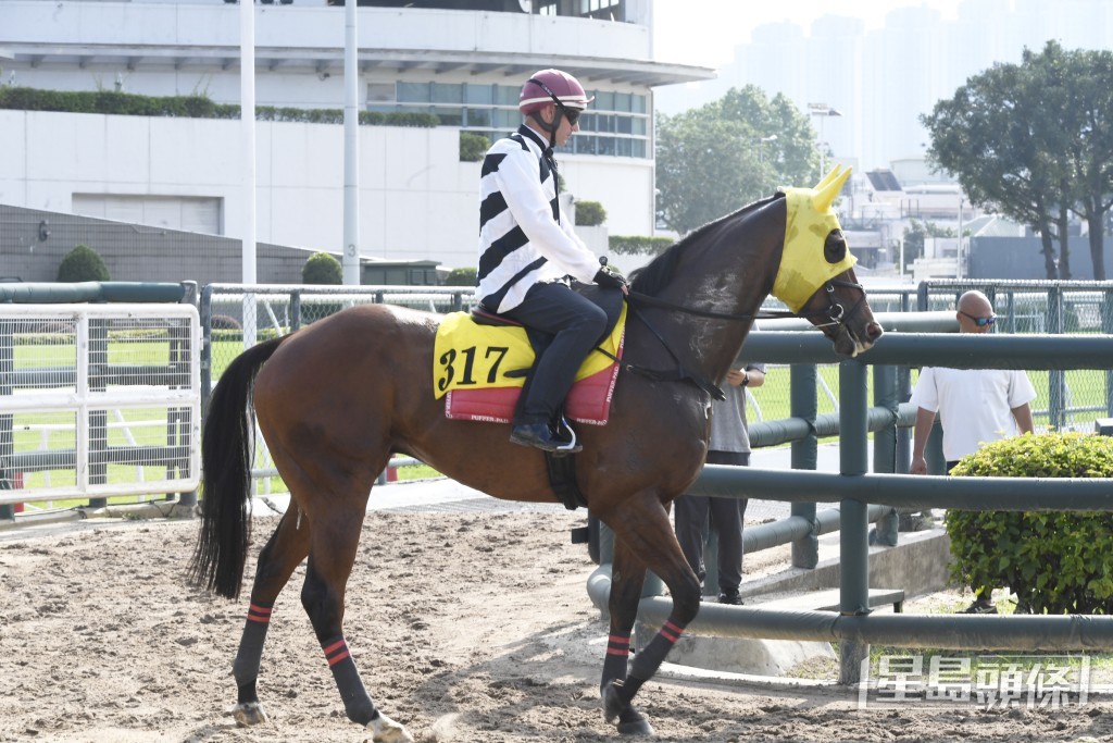 「花好月盈」火力保持旺盛，仍在最佳水平。