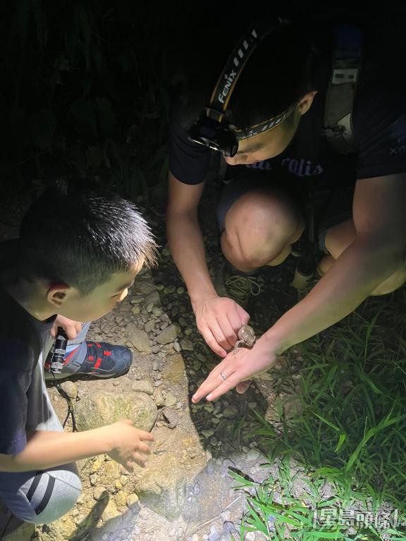 近日楊劍煥及家人到馬來西亞旅遊，晚上他帶8歲兒子到野外找青蛙。 受訪者提供