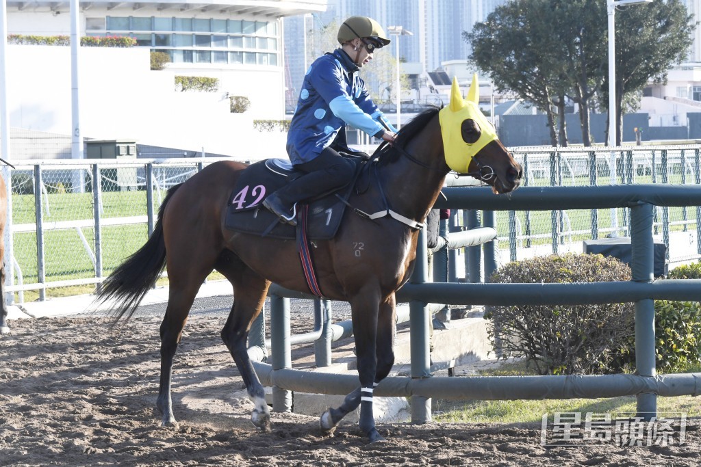 「中环精英」坠手火气极之充裕，今季最弗一次。