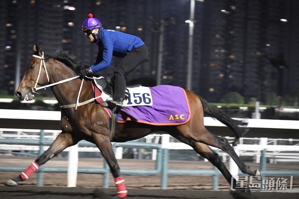 「奔放」季內四戰谷草得兩亞一季一殿，今仗回師首本主場。