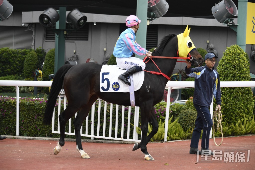 「健康愉快」曾在港兩勝三級賽。