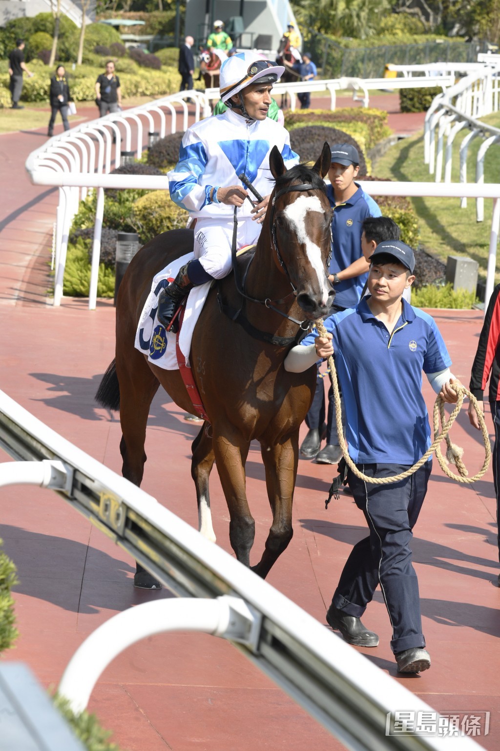 「三甲之星」前仗在港初出即在直路賽跑獲亞軍。