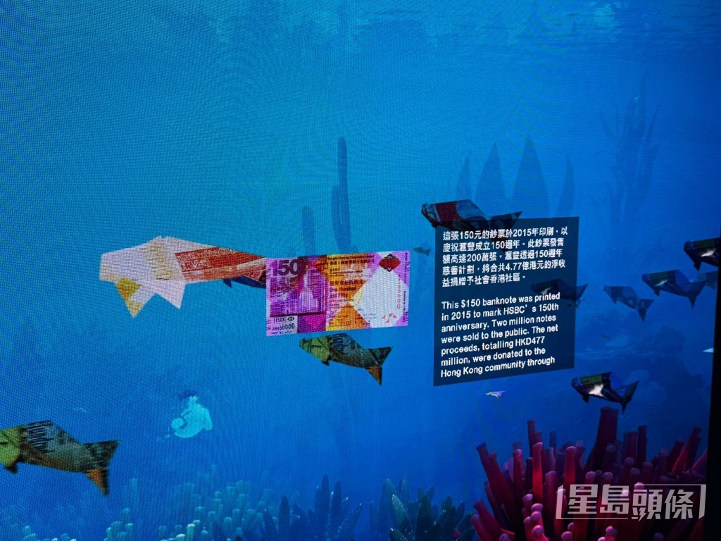 鈔票魚 鈔票魚