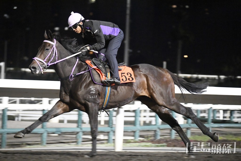 「千帆駒」跑姿順暢落腳輕巧，態勇及鋒而試。