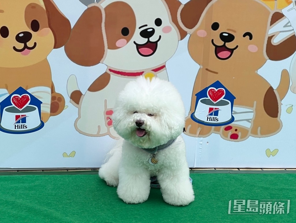 曹露尹攝 曹露尹攝