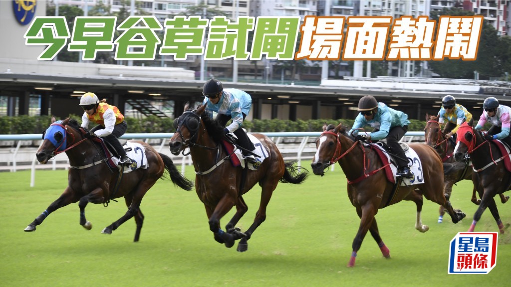  今晨快活谷舉行草閘，不少馬主、騎練與家人一起到場欣賞，仿如家庭同樂日，場面熱鬧。