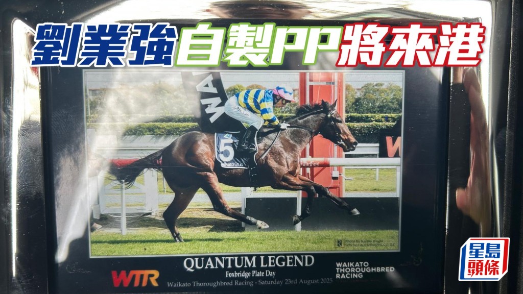 劉業強接受本報記者訪問時提到，將會有自製的PP（自購馬）來港。相片提供：馬主劉業強提供