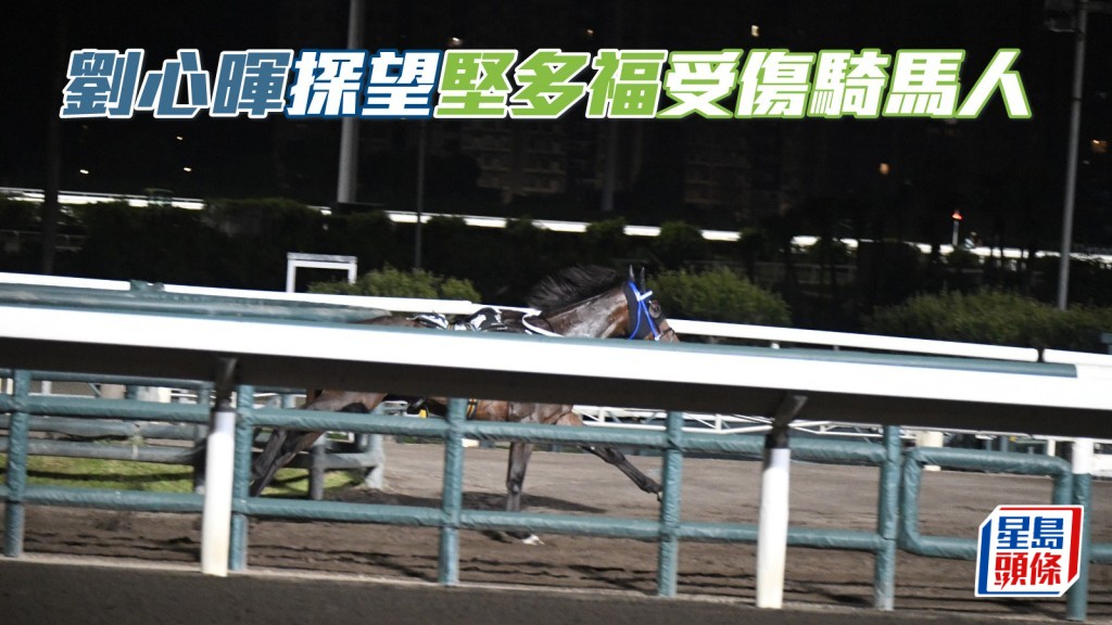 劉心暉探望「堅多福」受傷騎馬人