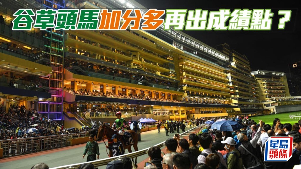 楊駿數據│谷草頭馬加分多再出成績點？