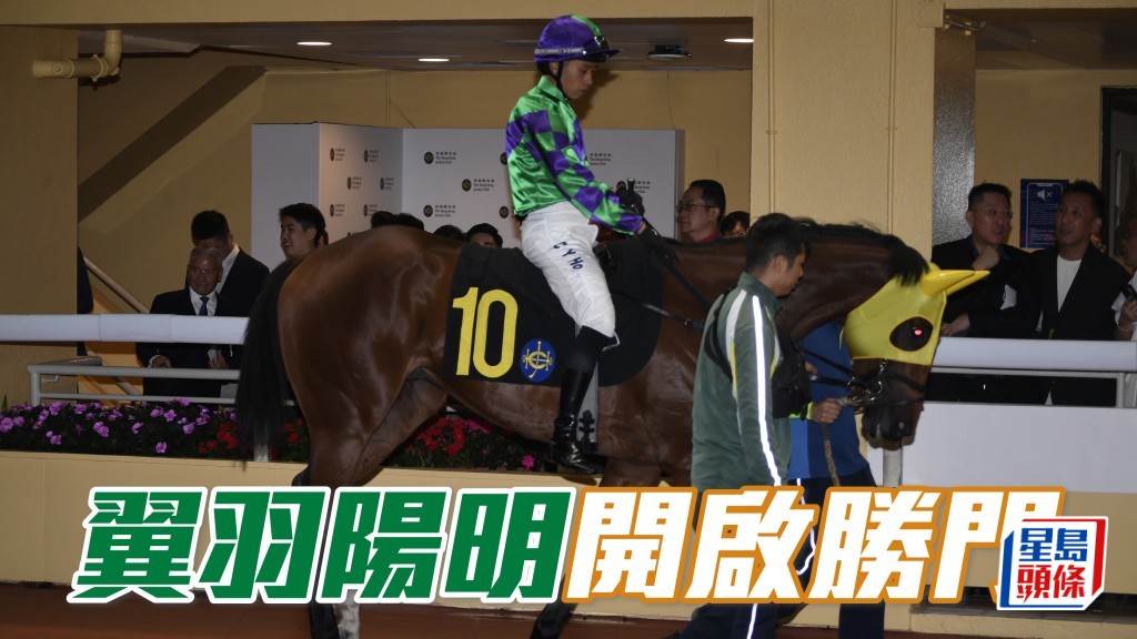 「翼羽陽明」今季在陣上已連番走近，今戰能否為黃氏家族帶來頭馬。