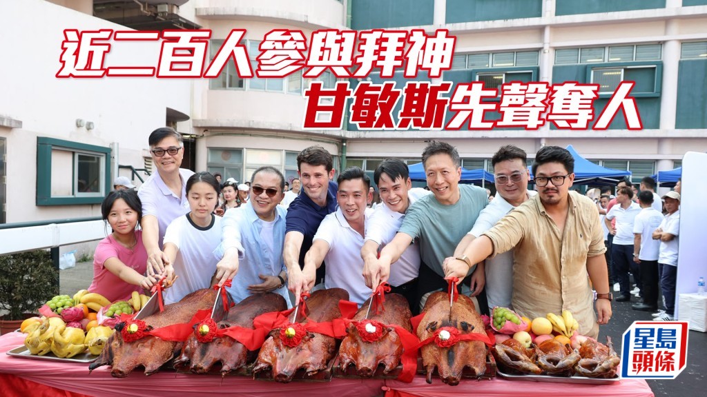甘敏斯切金猪。