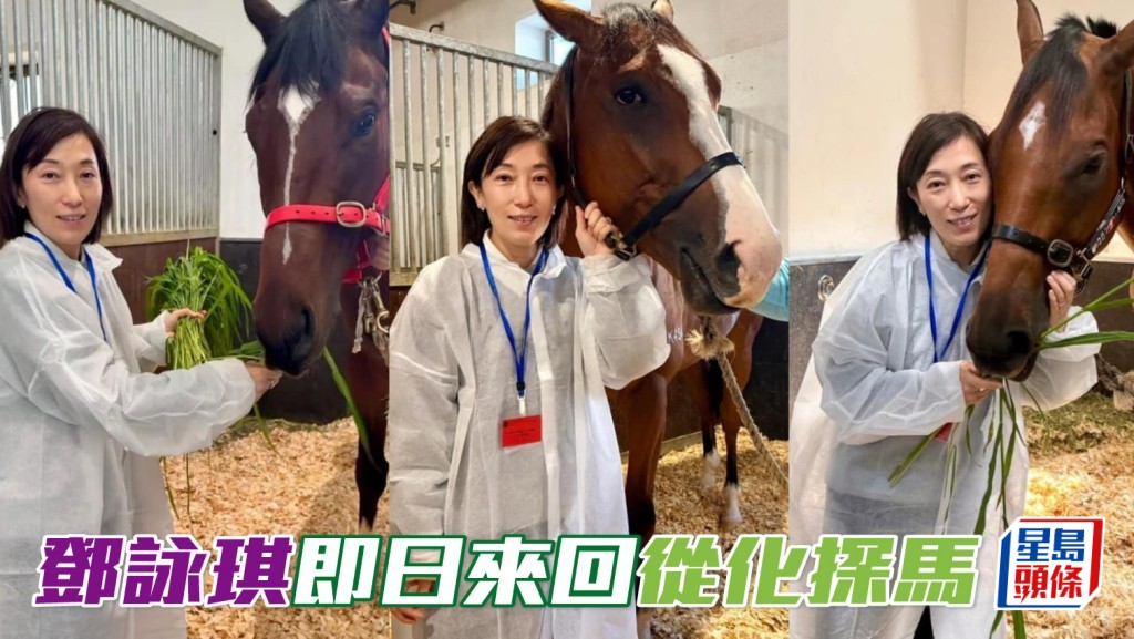 「魅力」、「知遇」和「志同」系馬主鄧詠琪 (圖)，上周即日來回香港從化兩地，探望「魅力知耀」、「寬心知遇」、「魅力心」等駒。
