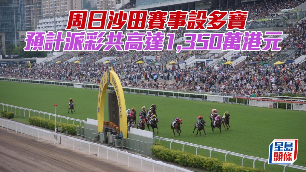 周日沙田賽事多寶預計派彩共高達1,350萬港元。