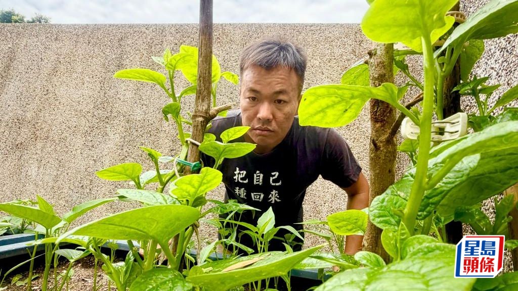 都市農業研究者劉海龍關注本港農業的可持續發展，致力推廣社區耕種。