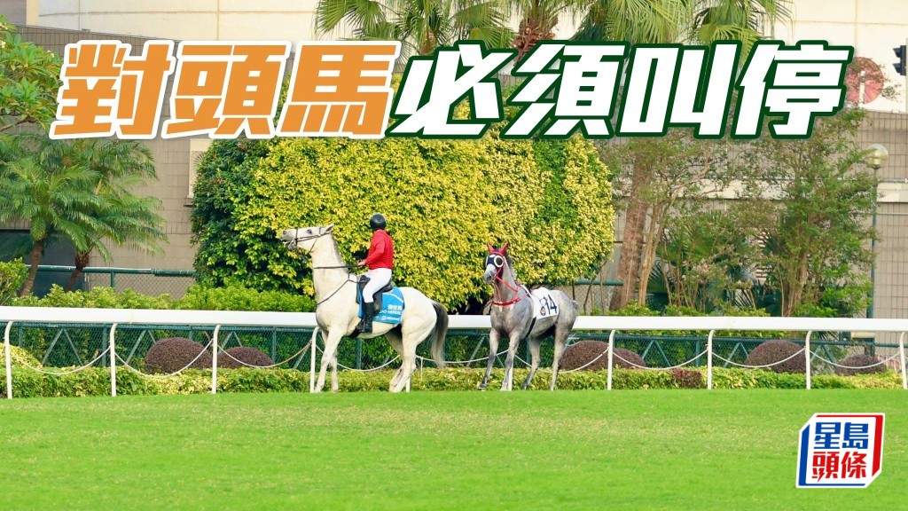 上周六沙田第八場賽事被取消，極為合理，因為其中一駒出閘拋下騎師後，空馬不是向前，而是倒後跑，即有機會與衝刺馬匹迎頭撞，就算是空馬是於終點後，戰馬也可能收慢不及也。