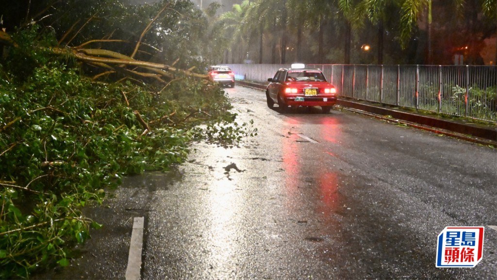 港今年首掛8號風球 颱風最常損失為吹爆玻璃 家居保與火險有何不同？