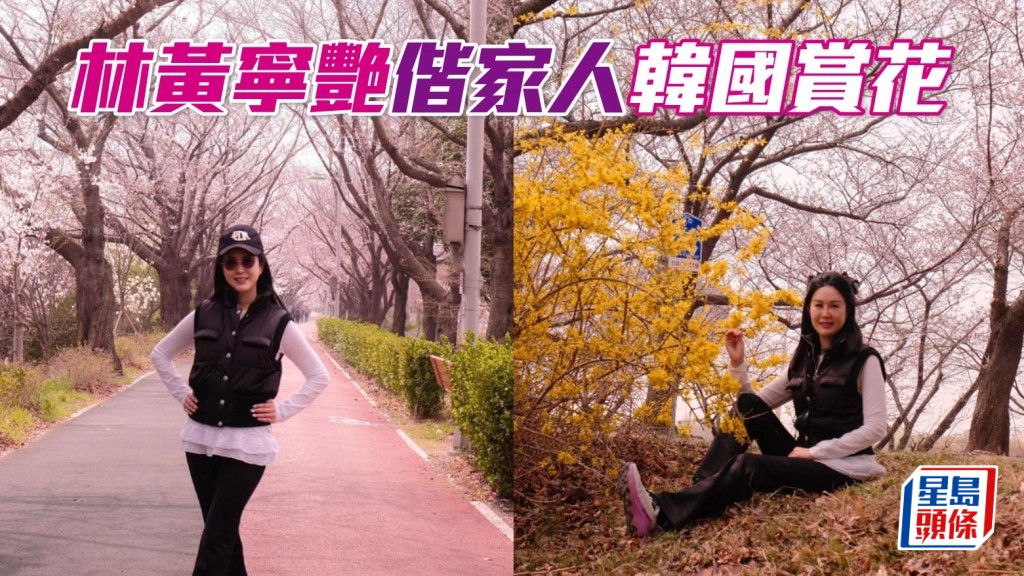 林黄宁艳偕家人韩国赏花