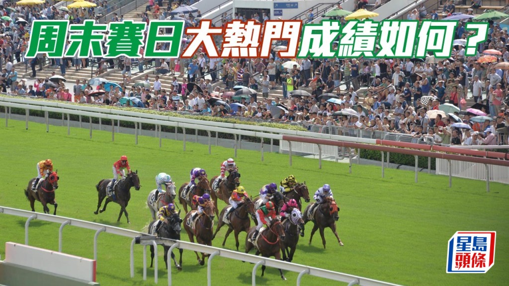 周末賽日大熱門成績如何？