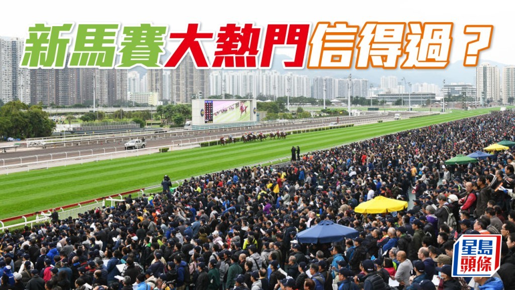 杨骏数据｜新马赛大热门信得过