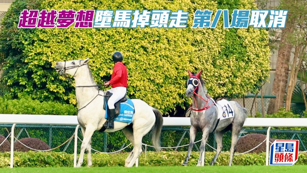 馬場浮世繪│「超越夢想」墮馬掉頭走 第八場取消