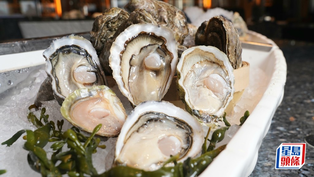 本港早前爆出多宗生蚝食物中毒个案，累计近40宗。资料图片
