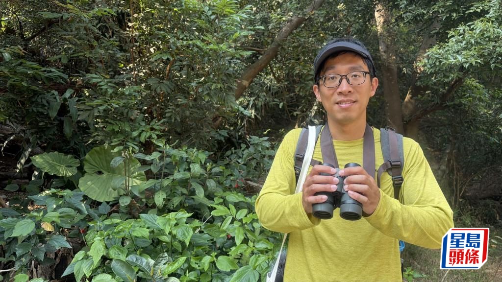  香港觀鳥會研究主任江珀墉指，不少雀鳥漸漸適應在城市生活。