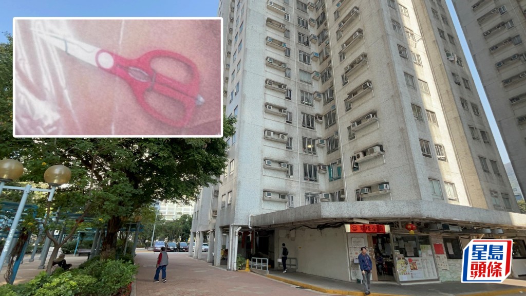 被告黃頌國承認去年於屯門翠寧花園持剪刀尾隨老婦入屋搶劫，判監4年8個月。