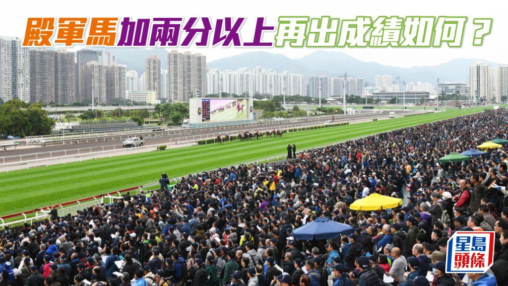 殿軍馬加兩分以上再出成績如何？