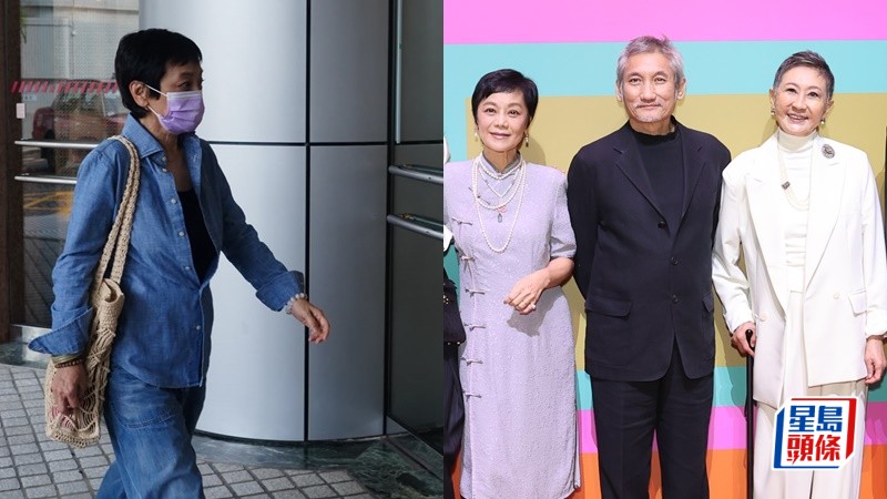 施南生傳病危留院  助手與張艾嘉今午再到養和醫院探望  直上病房神情肅穆