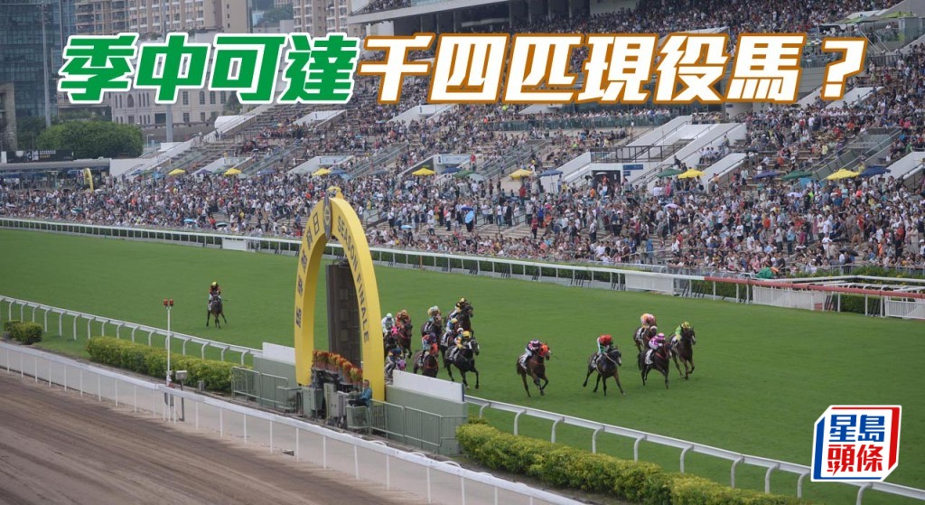 由於馬季剛開始,退役馬匹將不會多,即到季中時,現役馬可能接近一千四百匹也。