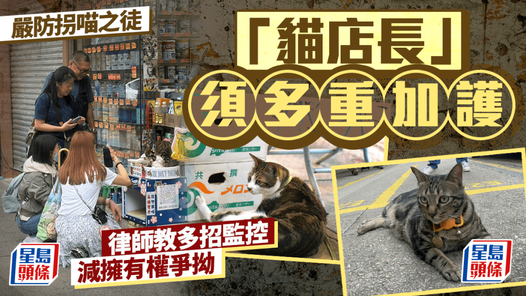 每日雜誌｜嚴防拐喵之徒 「貓店長」須多重加護  律師教多招監控  減擁有權爭拗