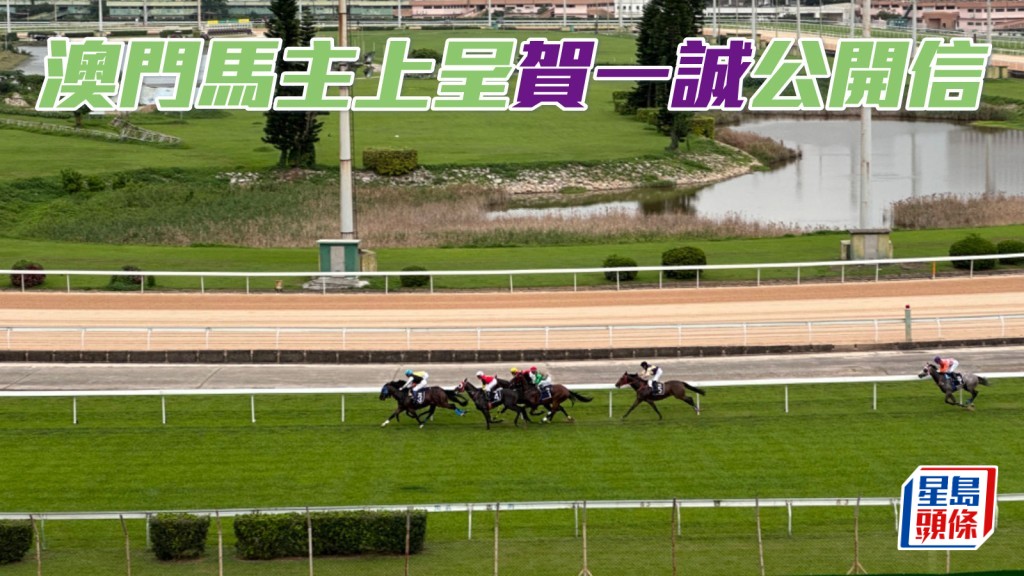 澳門馬主希望澳門賽馬會公正持平地評估每匹馬的價值，繼而給予合理補償。