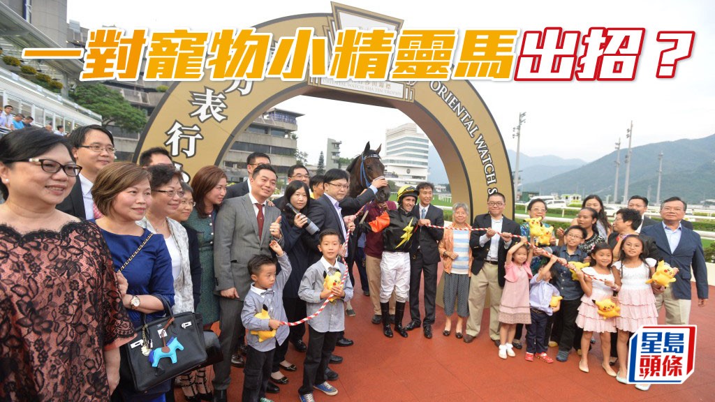廖舜康和太太的仔女很喜歡寵物小精靈系列,名下馬「喵喵怪」和「背背龍」齊在周六出擊。