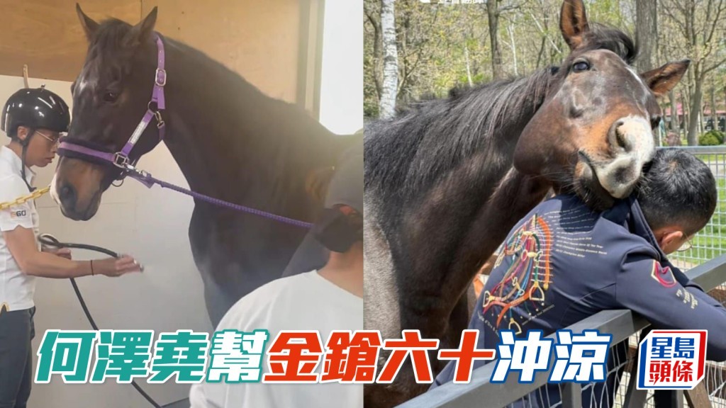 何澤堯除了牽引「金鎗六十」在牧場漫步外,更親自為該駒沖涼。相片來源:馬主陳家樑提供,何澤堯官方IG